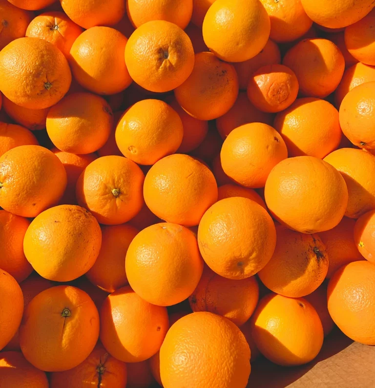 Orangengugelhupf