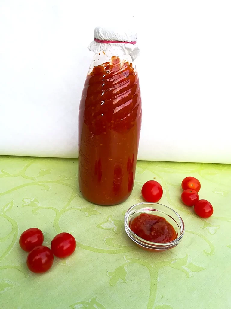 Fertiges Ketchup in Flasche - Rezept Dr. Marianne Thuy