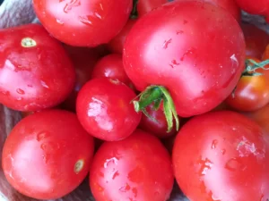 Reife Tomaten Ketchup - Rezept Dr. Marianne Thuy