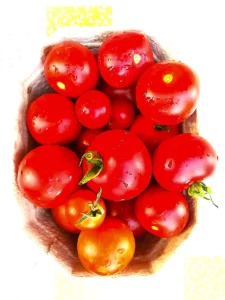 Reife Tomaten - Rezept Dr. Marianne Thuy