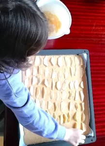Obstblechtkuchen Backblech belegen - Rezept Dr. Marianne Thuy